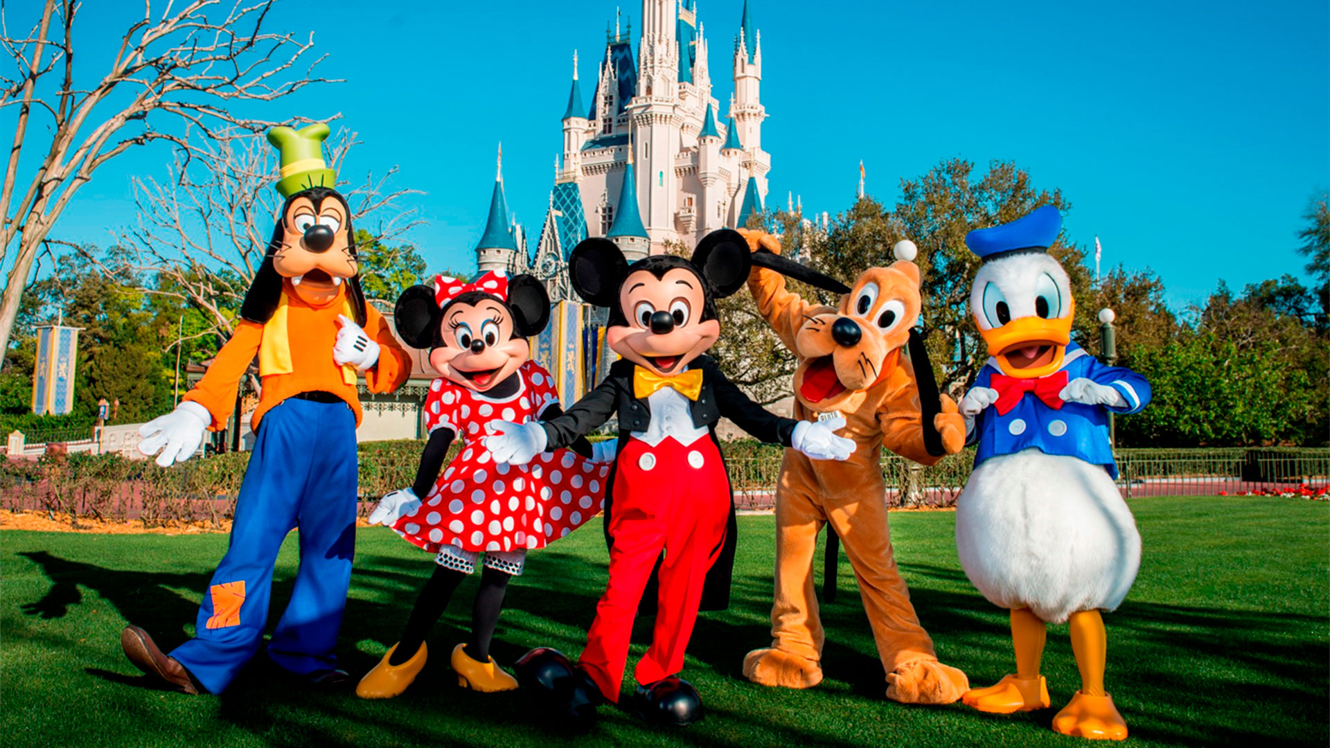 Walt Disney World